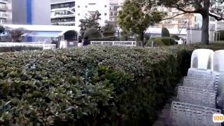 日本性感美女和帅哥⭕❌❌bcp69t1g 三极管